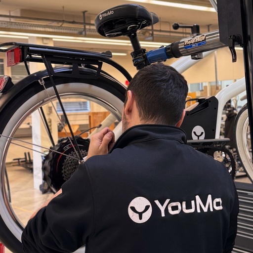 [70162000] YouMo e-Bike Service Standard