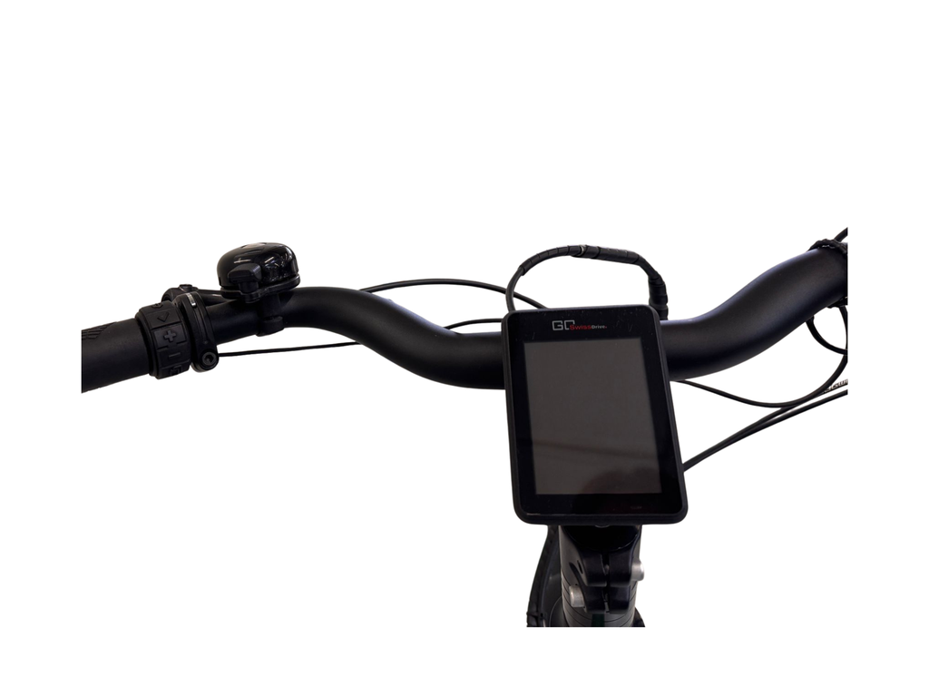 VEO - L - grün - 45km/h GEBRAUCHT