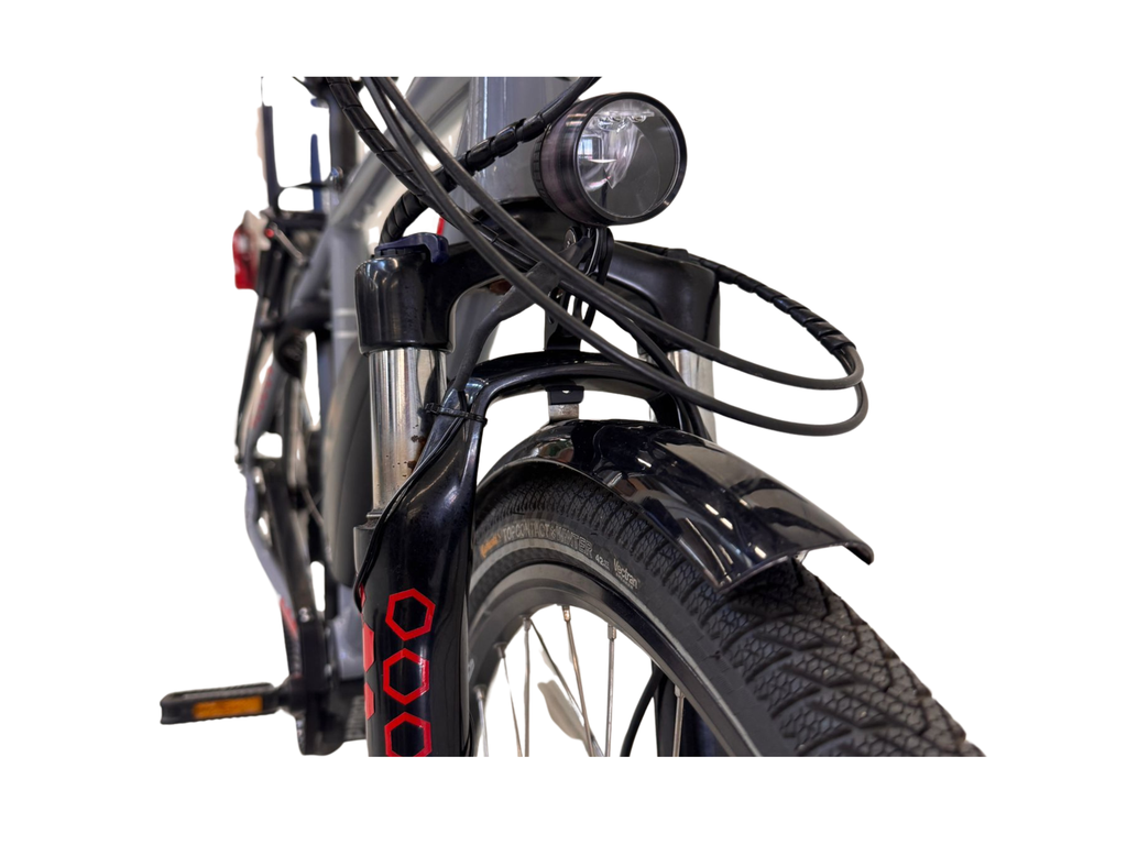 Tour de Suisse Speedster – XL - grau - 45km/h GEBRAUCHT